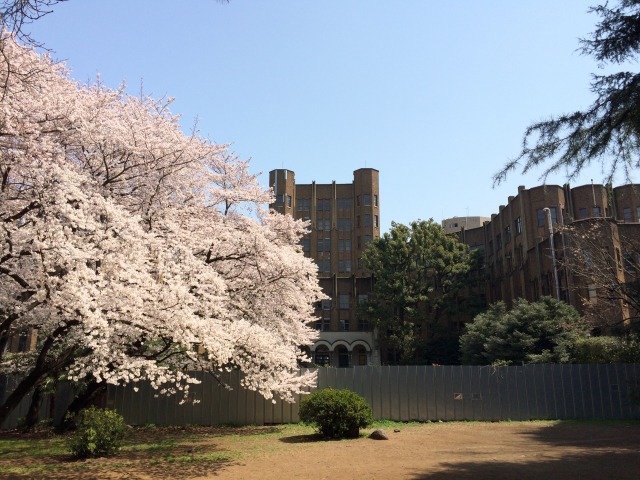 入学式のスーツ大学生女性のスカート丈は 相場は ブラウスの色は